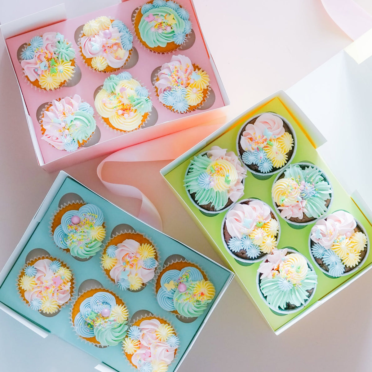 Holds 6 Cupcake Boxes