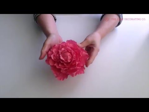 Cake Lace Peony Petals Cutters - Set of 4