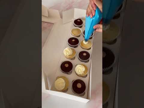Simply Making Oblong Cupcake Box Pack Of 2