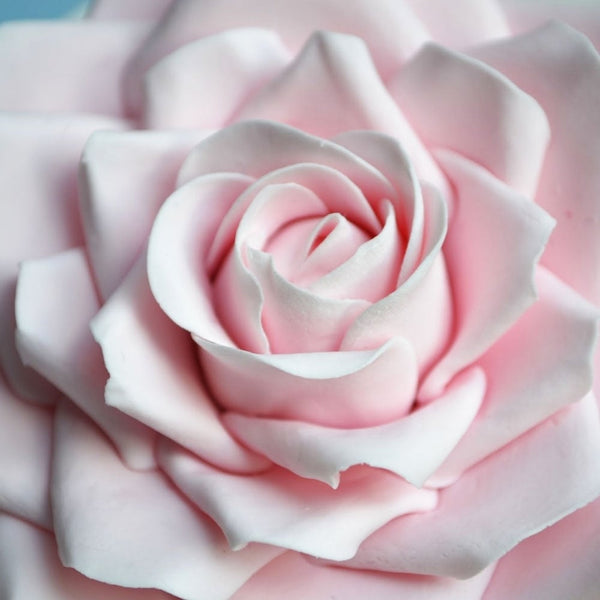 FMM Rose Petal Cutter Set Of 5