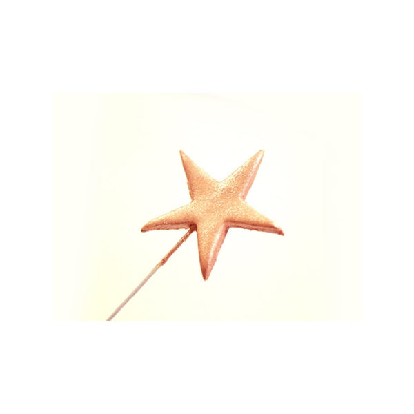 Rainbow Dust Pink Starlight' Edible Lustre Dust