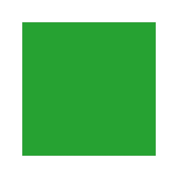 Beau Products Hydrangea Green Flower Paste 100g
