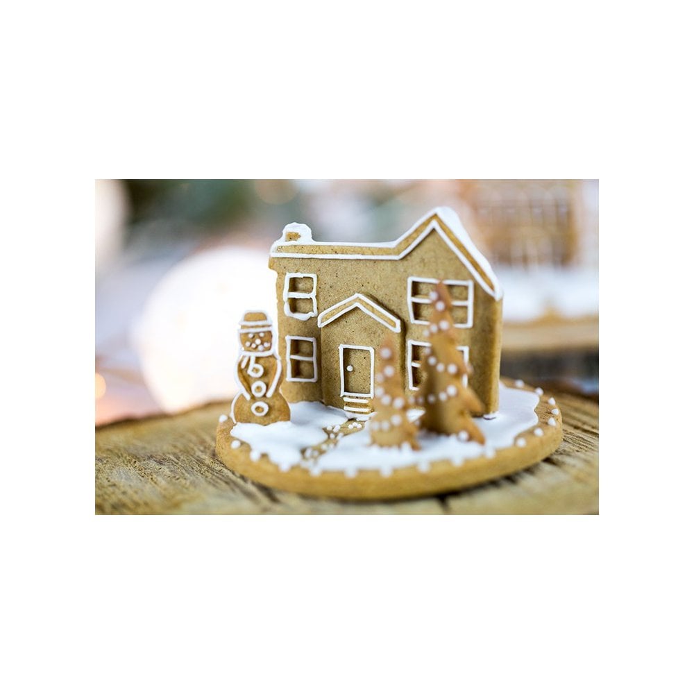Karen Davies Winter Village Mould
