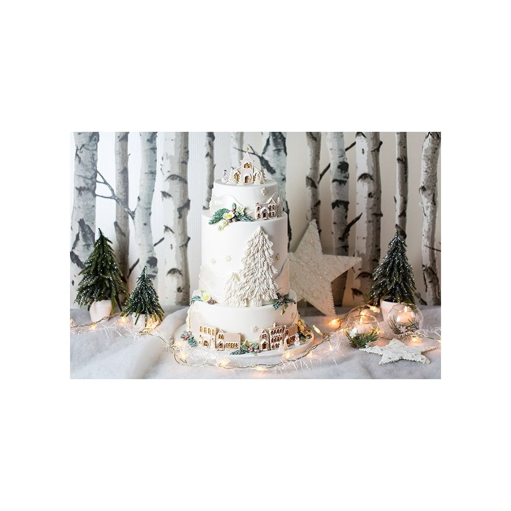 Karen Davies Winter Village & Sugar Snowflakes Moulds - Set of 2