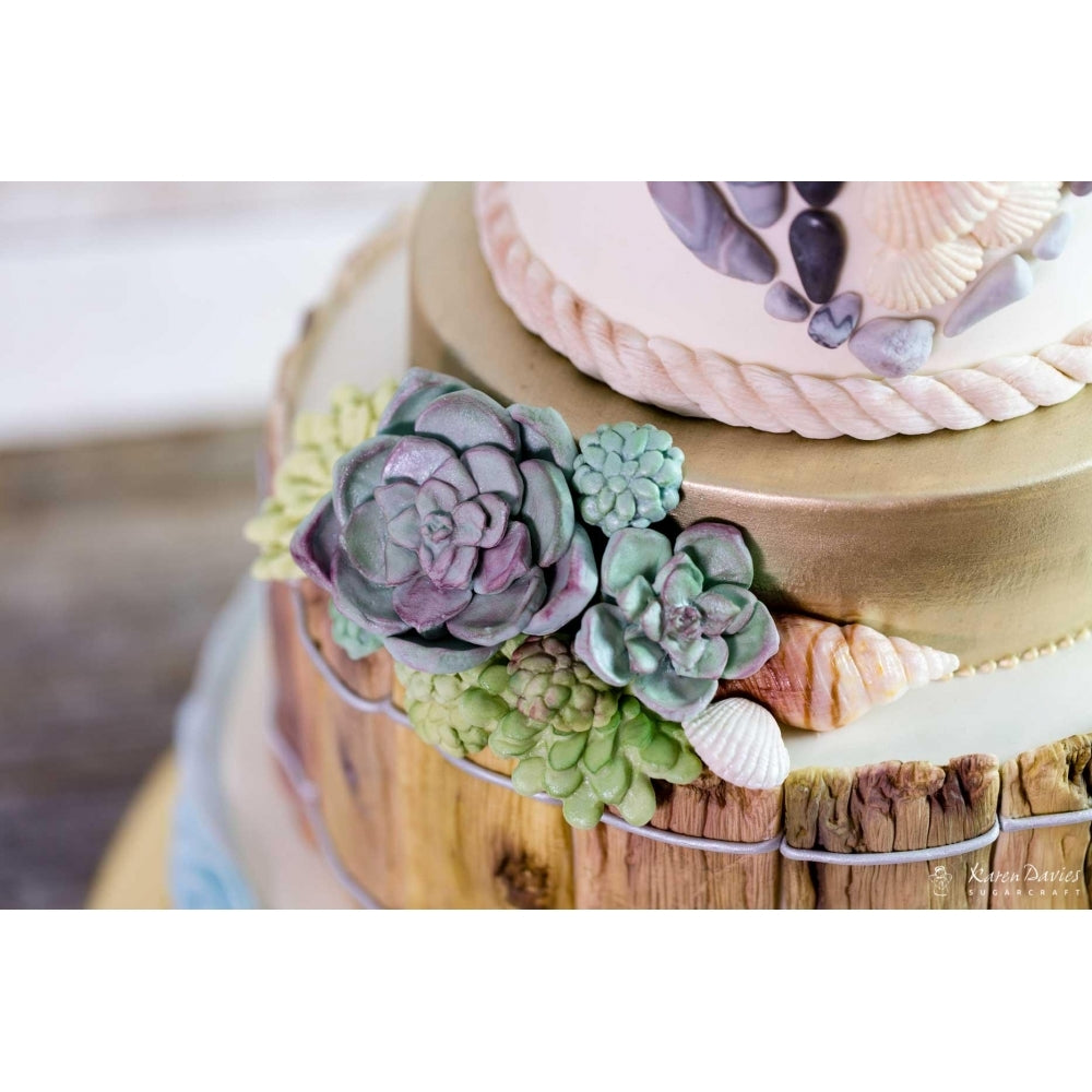 Karen Davies Rustic Driftwood By Alice Mould