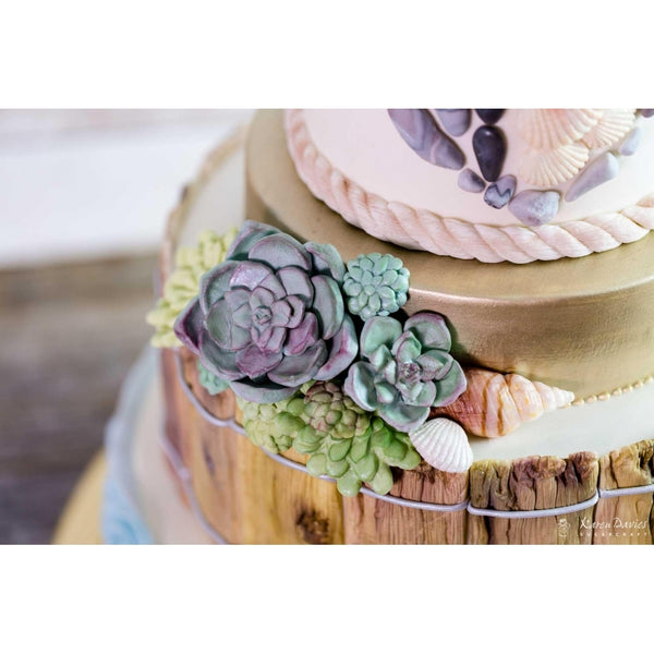 Karen Davies Rustic Driftwood By Alice Mould