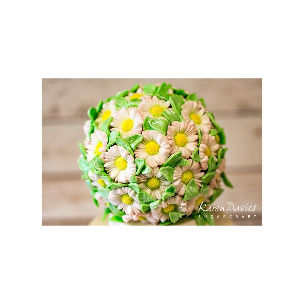 Karen Davies Buttercream Flowers Mould