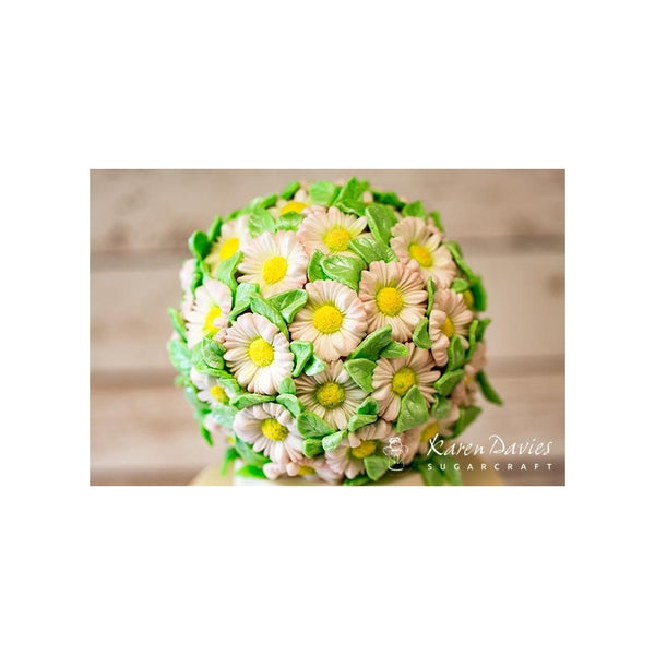 Karen Davies Buttercream Flowers Mould