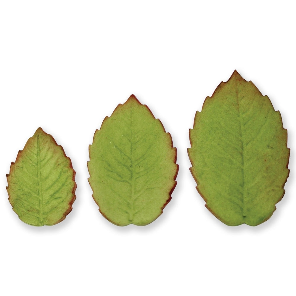 PME Veined Rose Leaf Plunger Cutter Set Of 3