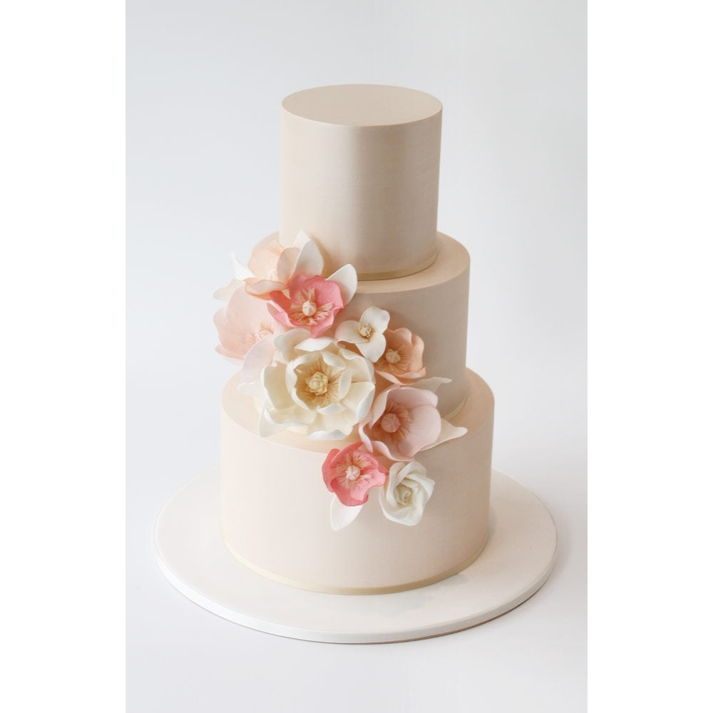 Faye Cahill Cake Design Edible Lustre Dust - Graphite Black