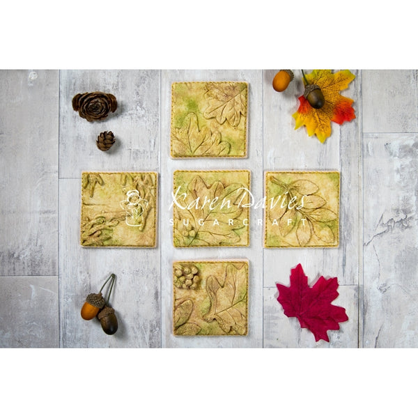 Karen Davies Autumn Leaf Mould By Alice - Karen Davies