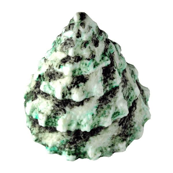 Marvelous Molds Beaded Periwinkle Shell Mould