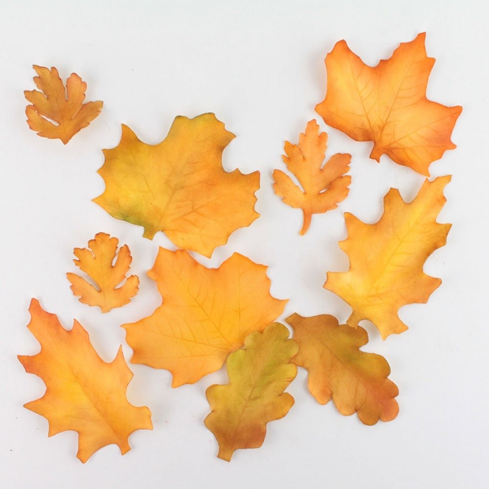 FMM Seasonal Leaves Icing Cutter Set