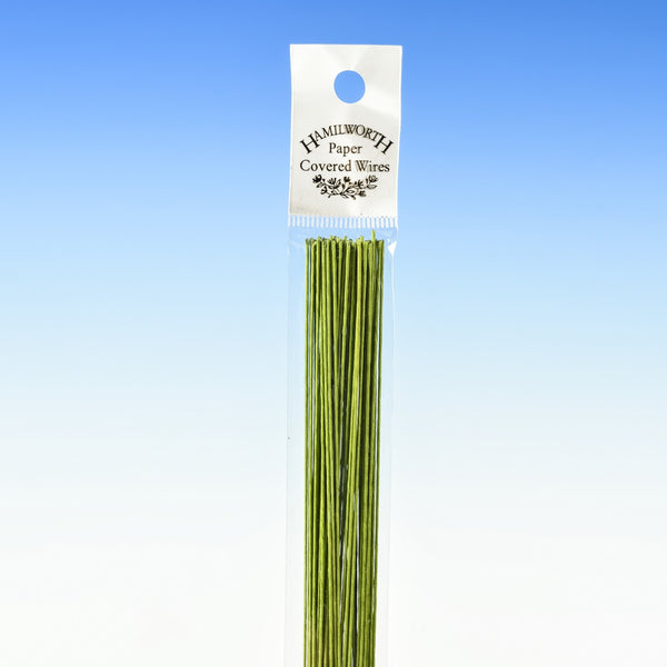 Hamilworth 28 Gauge - Nile Green Florist Wire x 50