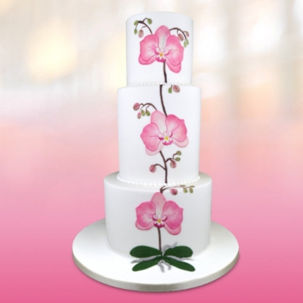 Patchwork Cutters Pretty Big Moth Orchid Cutter Set