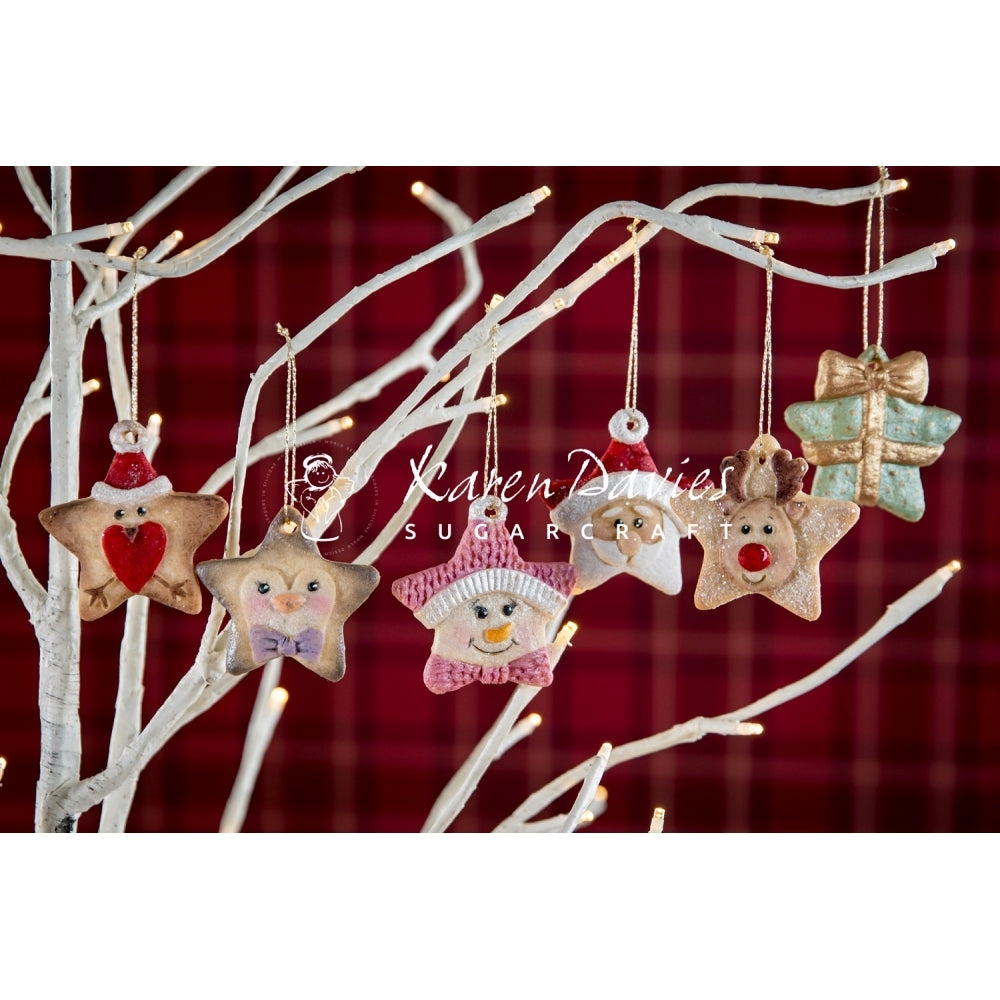 Karen Davies Christmas Stars Mould