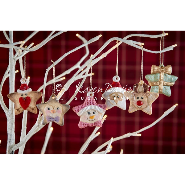 Karen Davies Christmas Stars Mould