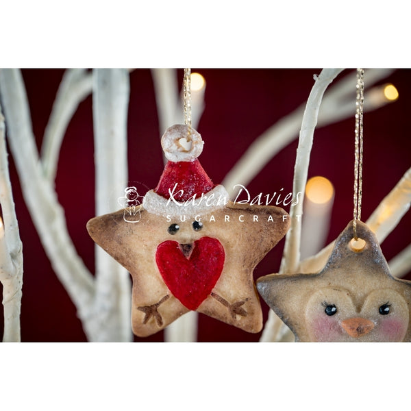Karen Davies Christmas Stars Mould