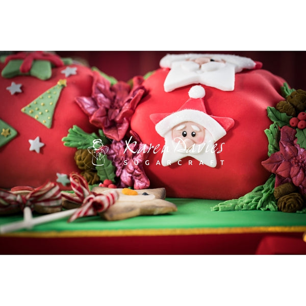 Karen Davies Christmas Stars Mould