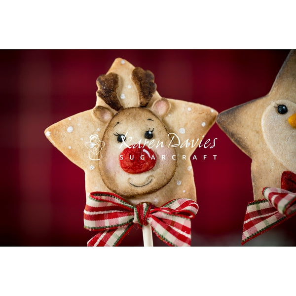 Karen Davies Star Reindeer Mould