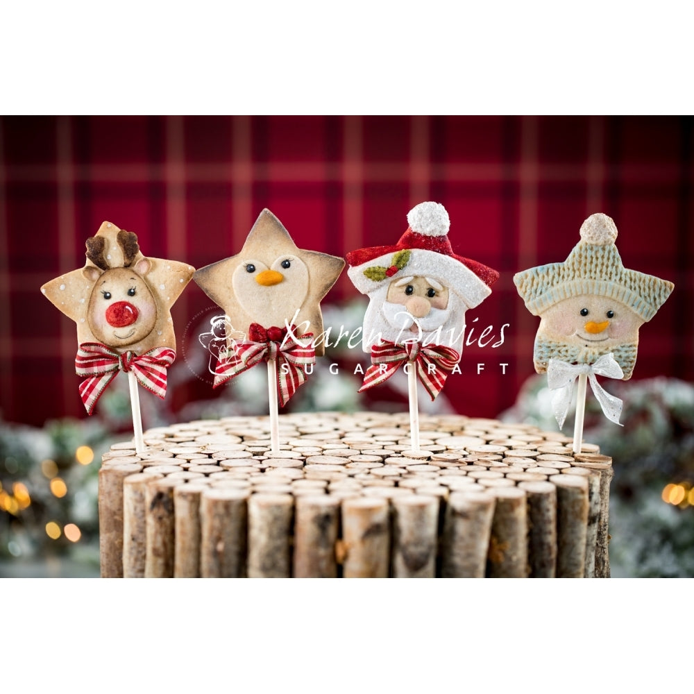 Karen Davies Star Reindeer Mould
