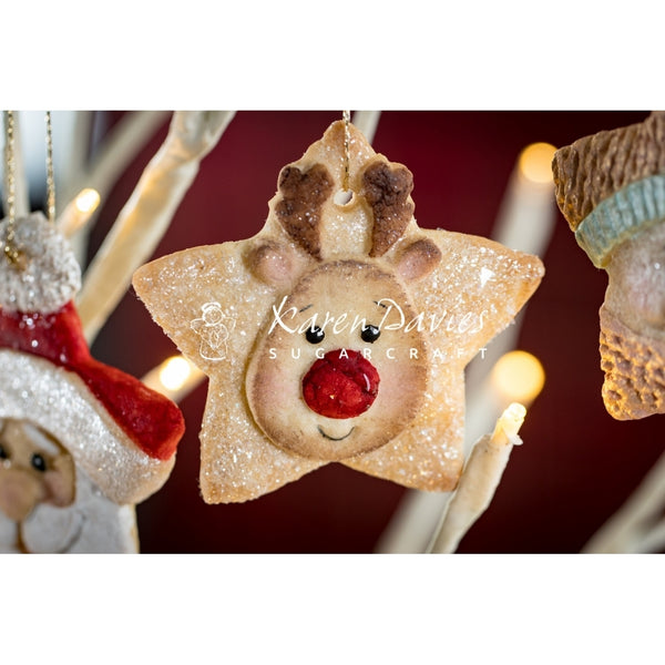 Karen Davies Star Reindeer Mould