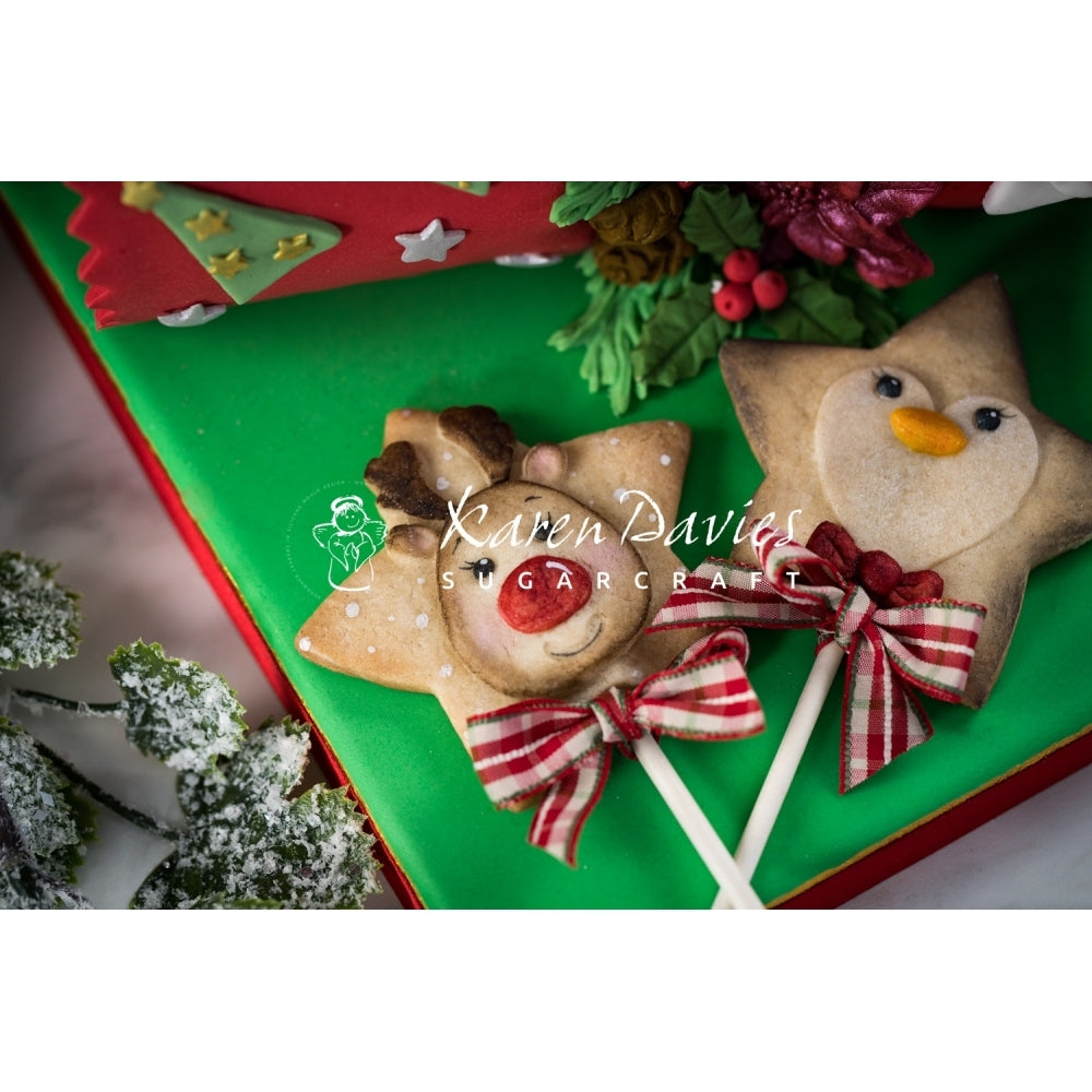 Karen Davies Star Reindeer Mould