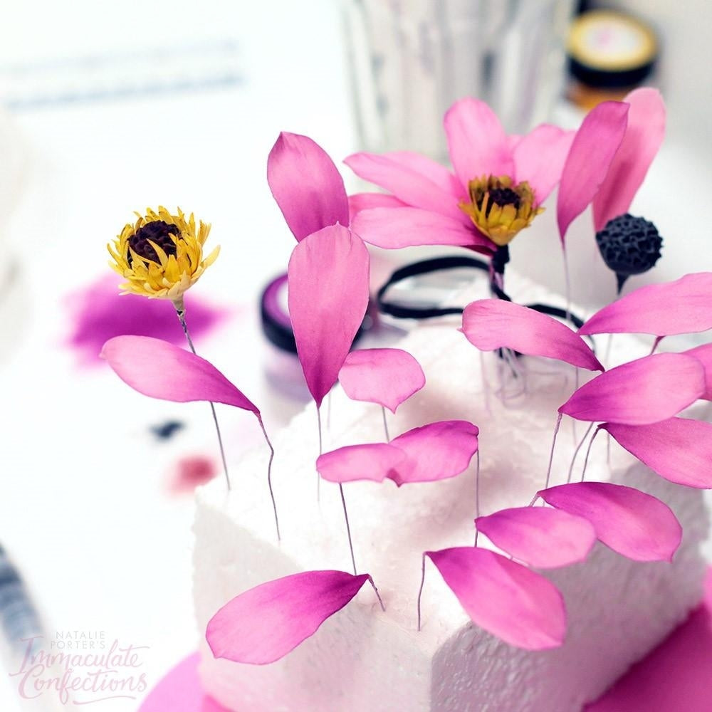 FMM Multi Use Petals And Leaves Cutters