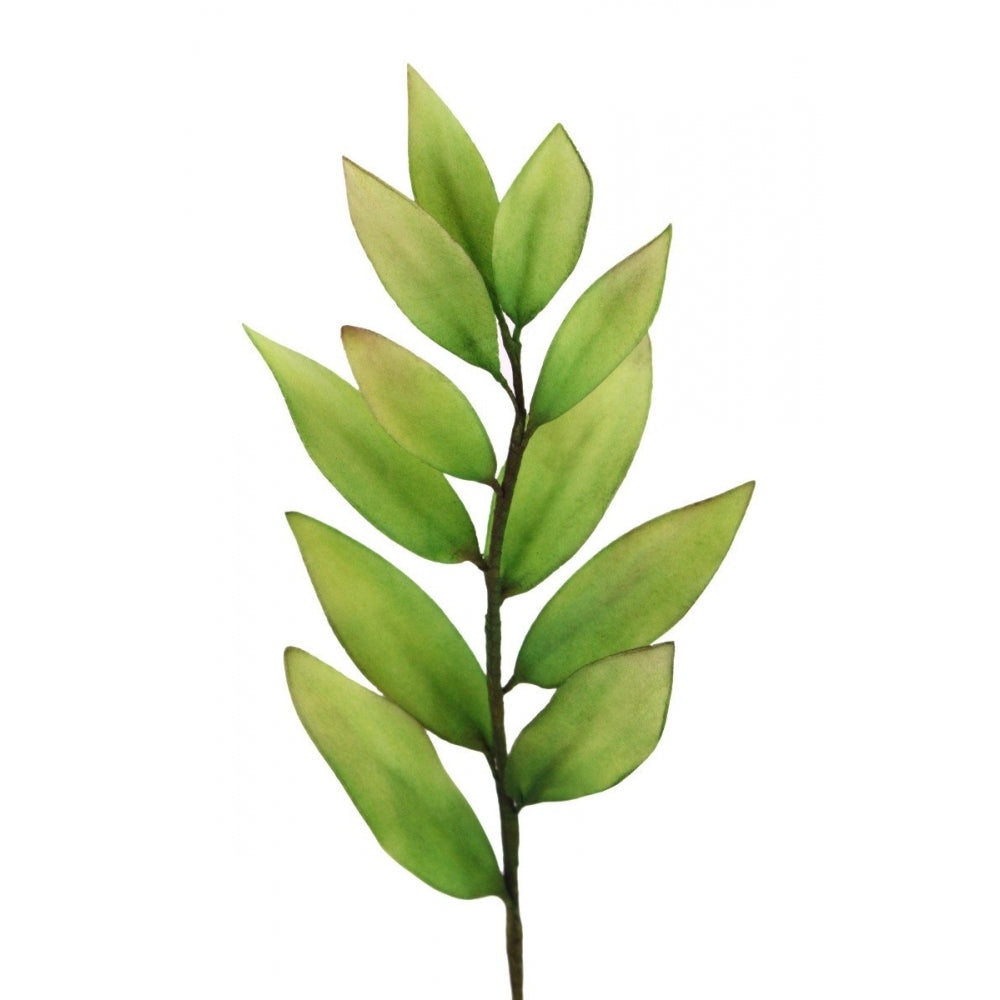 FMM Multi Use Petals And Leaves Cutters