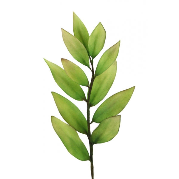 FMM Multi Use Petals And Leaves Cutters