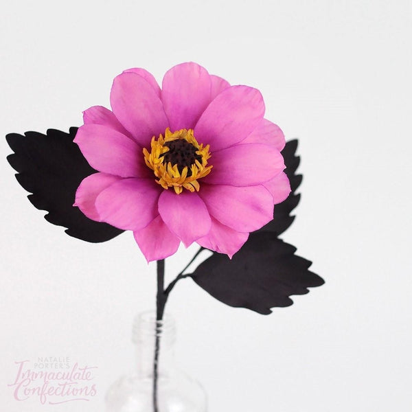 FMM Multi Use Petals And Leaves Cutters