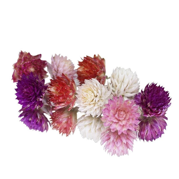 Nurtured In Norfolk Dried Amaranth Pom Pom Mix Edible Flowers