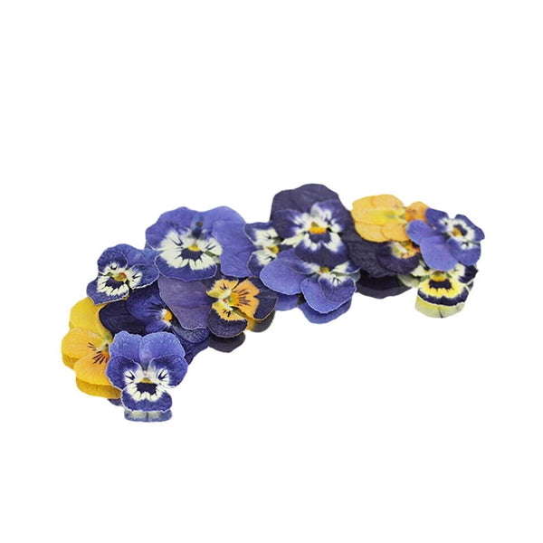 Nurtured In Norfolk Pressed Mini Viola Edible Flowers