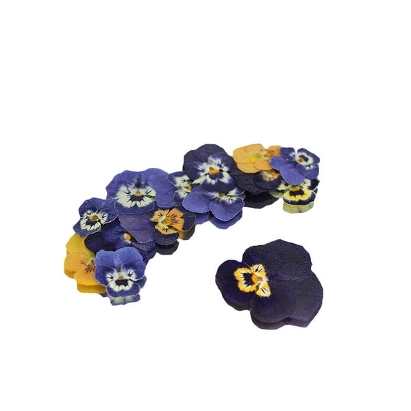 Nurtured In Norfolk Pressed Mini Viola Edible Flowers