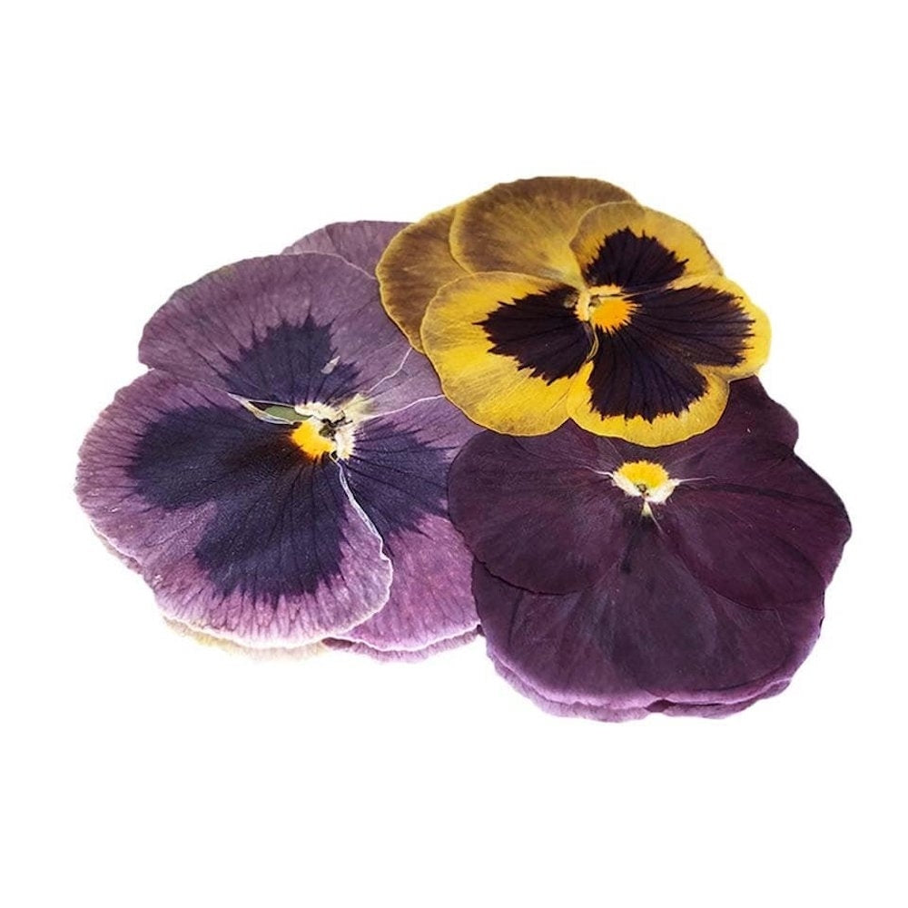 Nurtured In Norfolk Pressed Pansy Edible Flowers