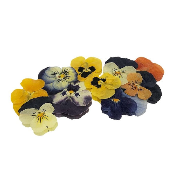 Nurtured In Norfolk Pressed Violas Edible Flowers