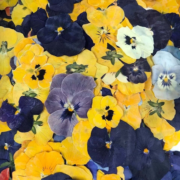 Nurtured In Norfolk Pressed Violas Edible Flowers