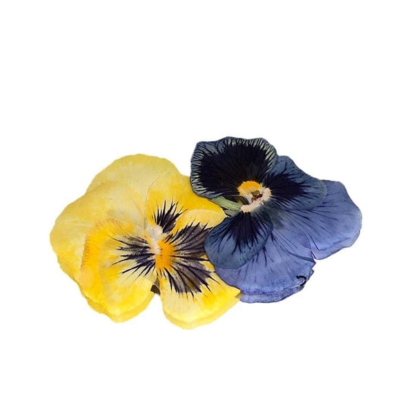 Nurtured In Norfolk Pressed Violas Edible Flowers