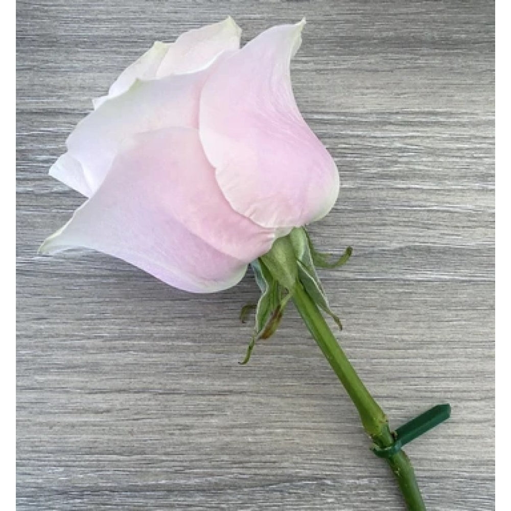 Cake Pin™️ Camo' Pin Set for Floral Decorations