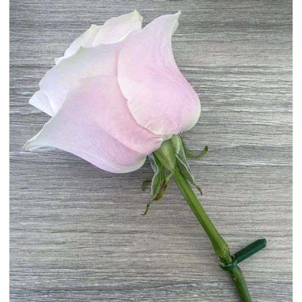 Cake Pin™️ Camo' Pin Set for Floral Decorations