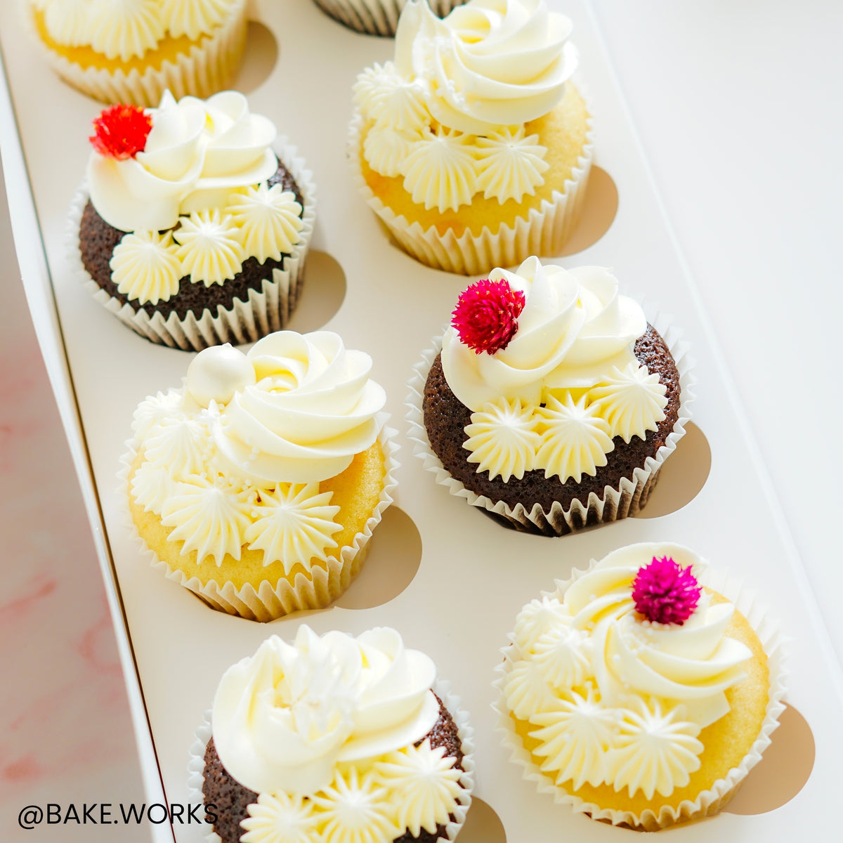 Simply Making Oblong Cupcake Box Pack Of 2