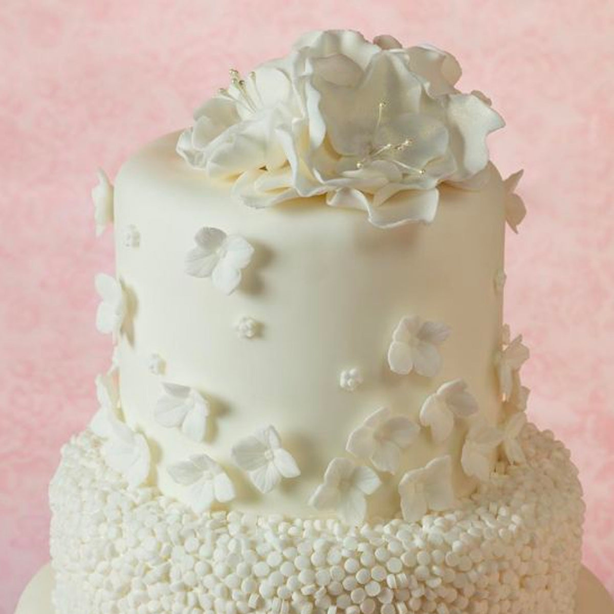 Bako Select White Sugarpaste 2.5kg