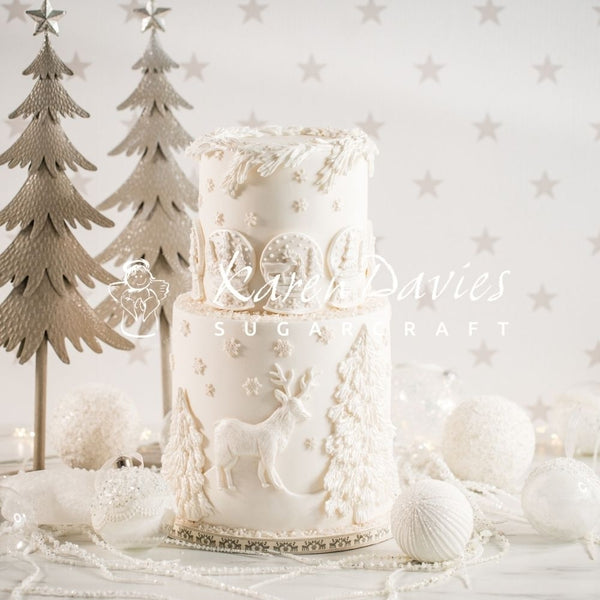 Karen Davies Snowglobe Mould