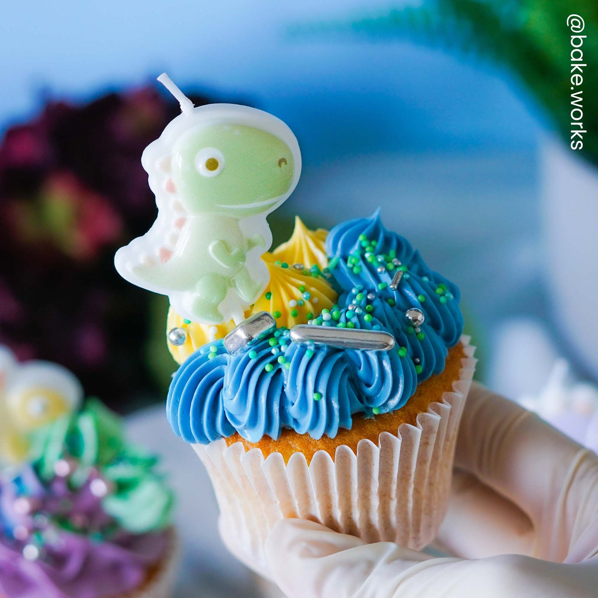Make A Wish Dinosaur Candle Set