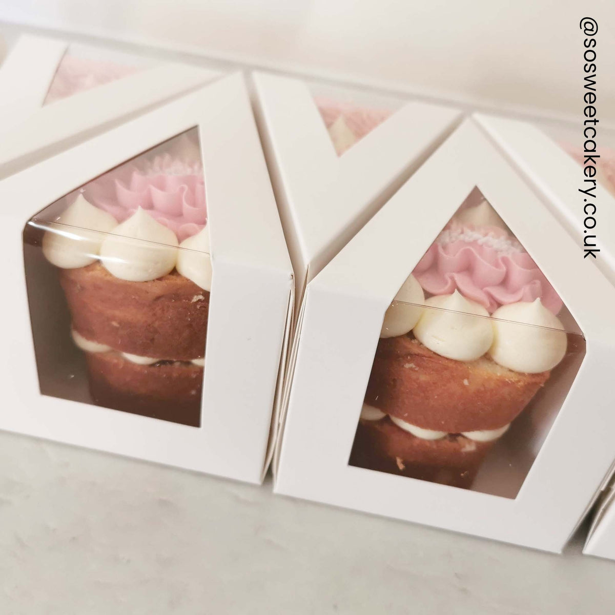 Simply Making Large Cake Slice Box - Pack Of 10