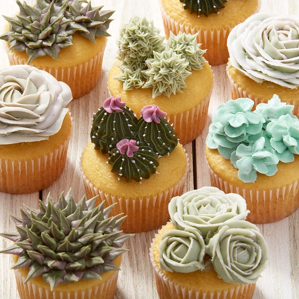 Wilton Starter Decorating Tip Set Of 9