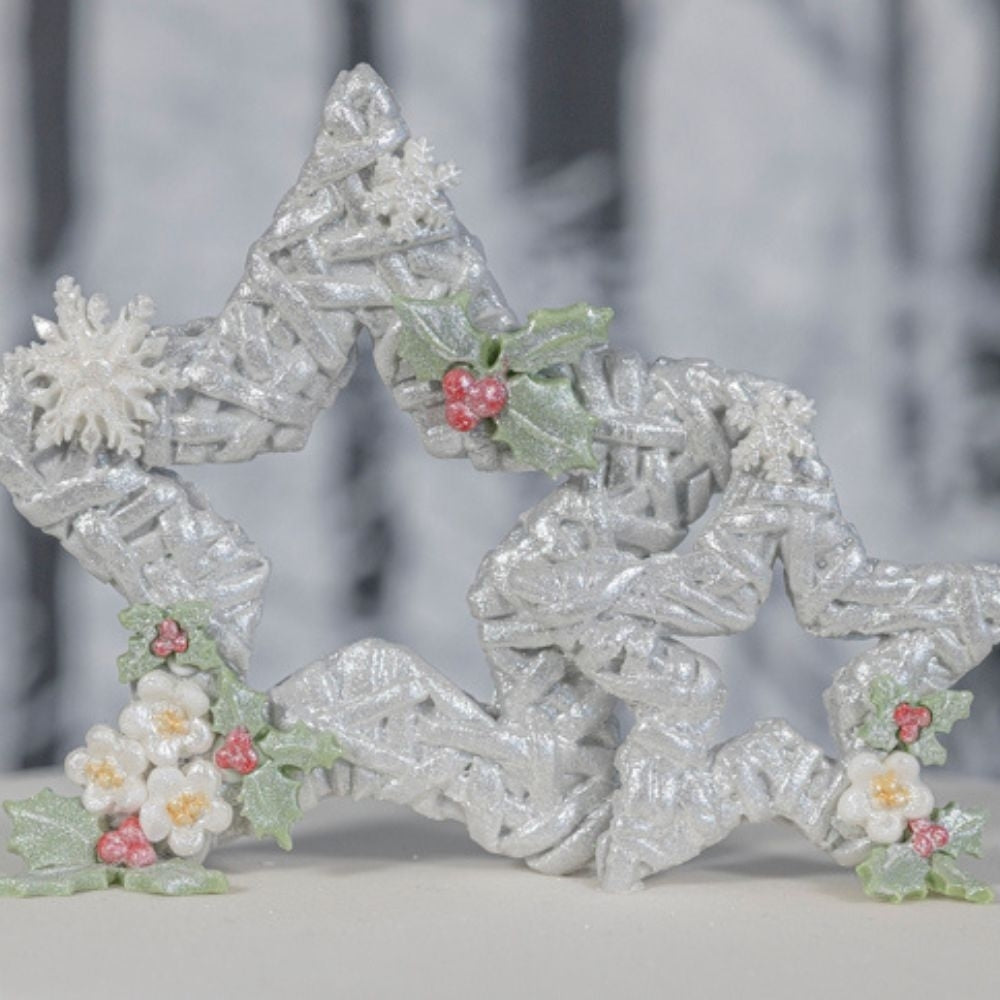Karen Davies Wicker Stars Mould - Karen Davies