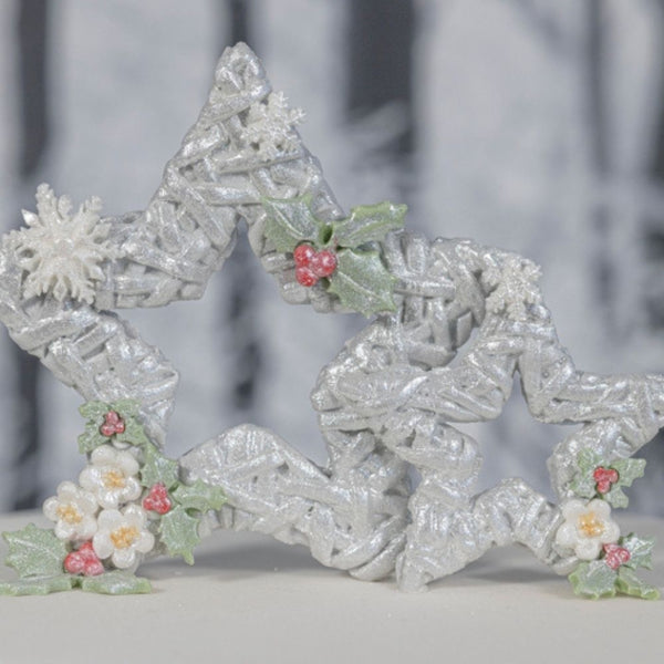 Karen Davies Wicker Stars Mould - Karen Davies