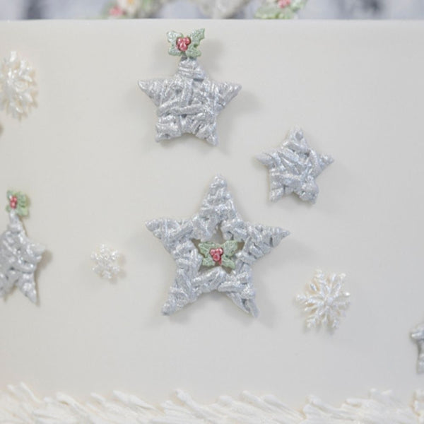 Karen Davies Wicker Stars Mould - Karen Davies