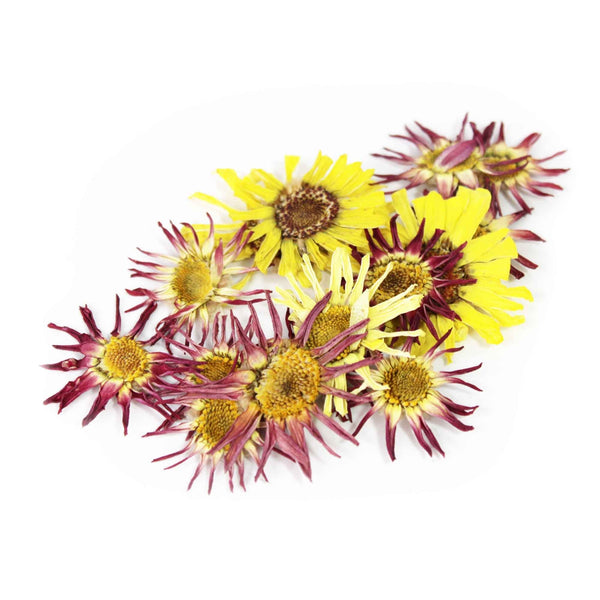 Nurtured In Norfolk Pressed Mini Daisy Edible Flowers